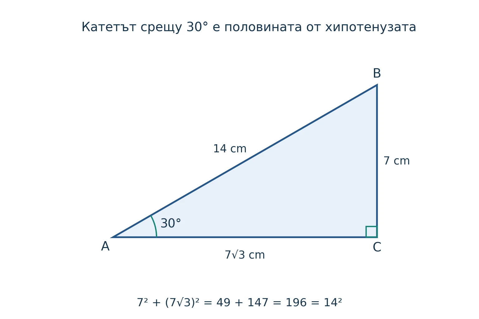 Правоъгълен триъгълник с хипотенуза 14 и малък катет 7 сантиметра